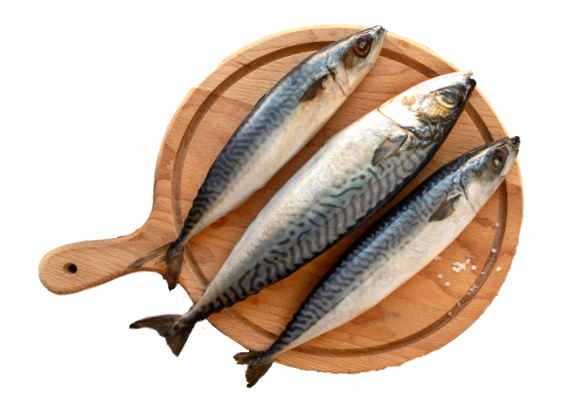 Sản phẩm chế biến